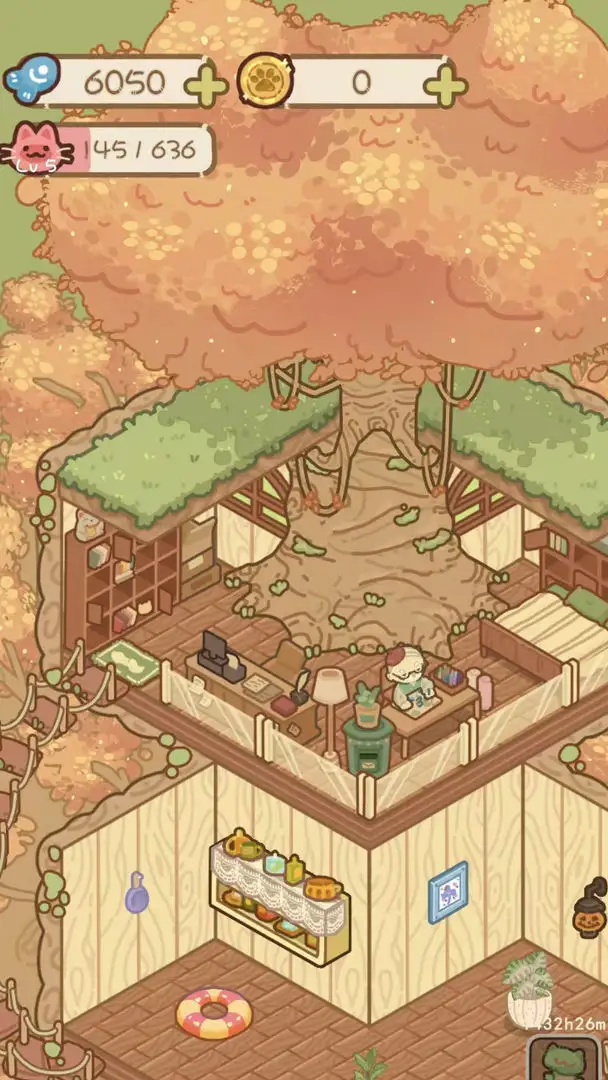 猫屋猫屎香