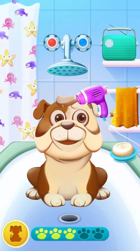 Animal Care