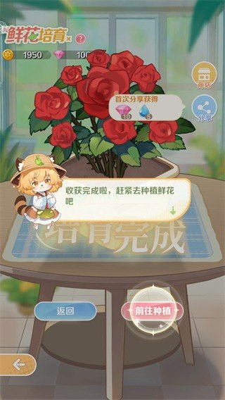 明星花店