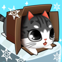 盒子里的猫中文版