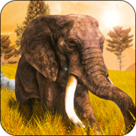 Super Elephant Simulator