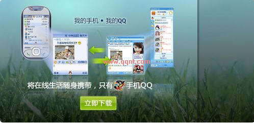 手机QQ2008 for PPC(将QQ聊天软件搬到手机上)
