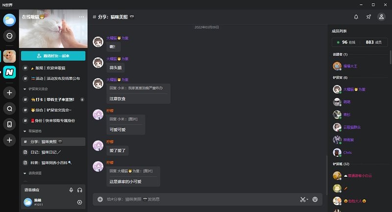 n世界pc版