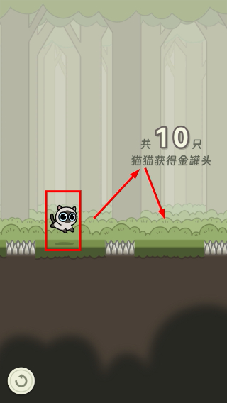 冒险猫
