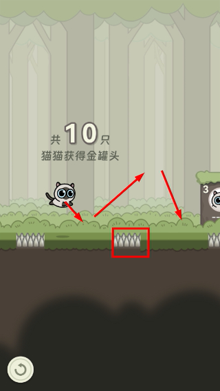 冒险猫
