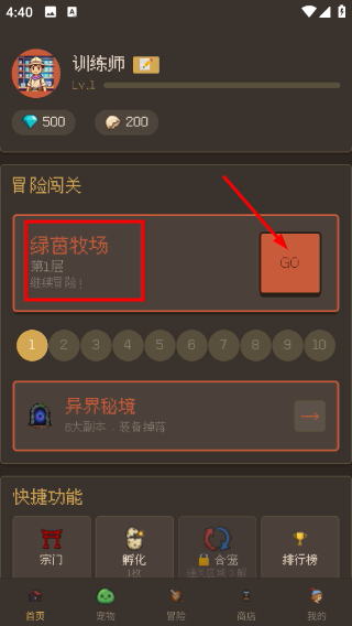 宠物大师