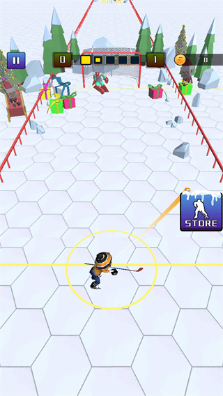 Ice Hockey