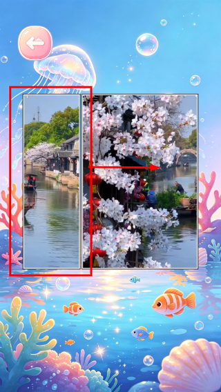 梦幻益智水族