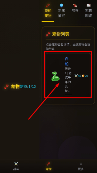 自在仙途折相思