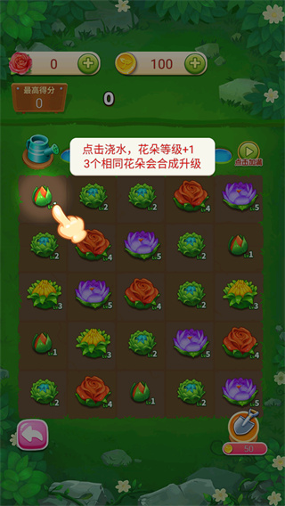 彩虹岛花园