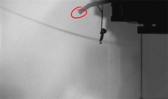 LIMBO
