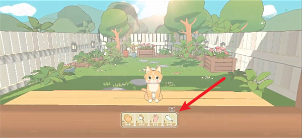 窗外的猫