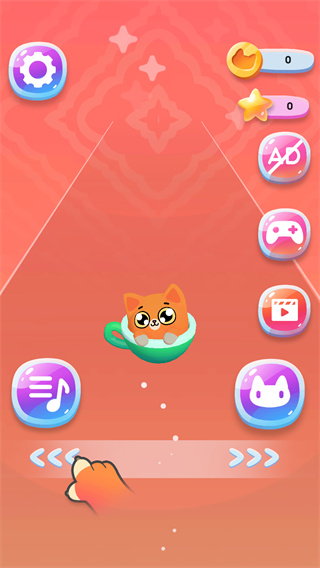 猫杯舞