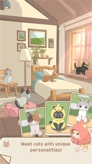 窗外的猫