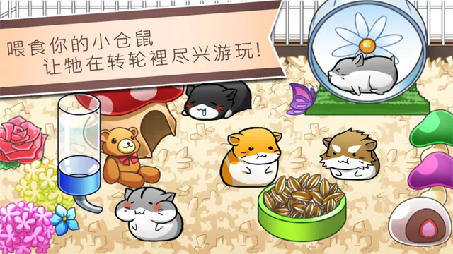 Hamster Life