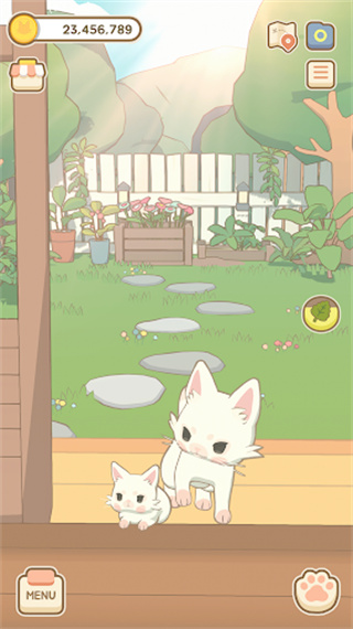 窗外的猫