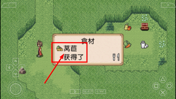 不思议之国的冒险酒场汉化版