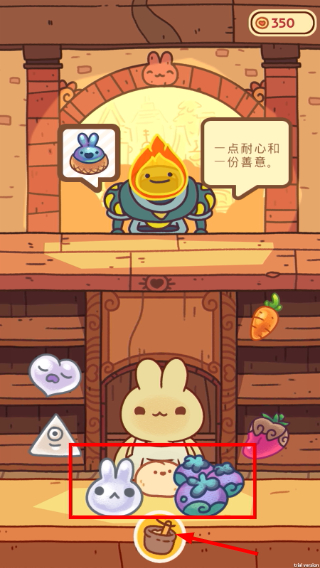 兔兔蛋糕店