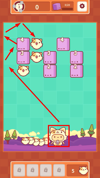 皮皮猫