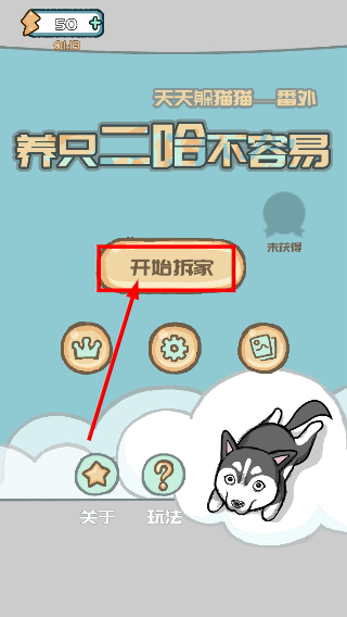 养只二哈不容易
