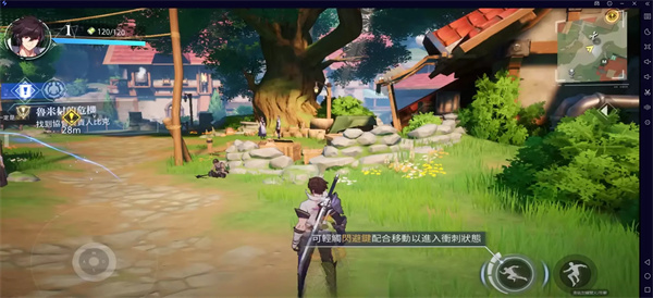 晶核coa