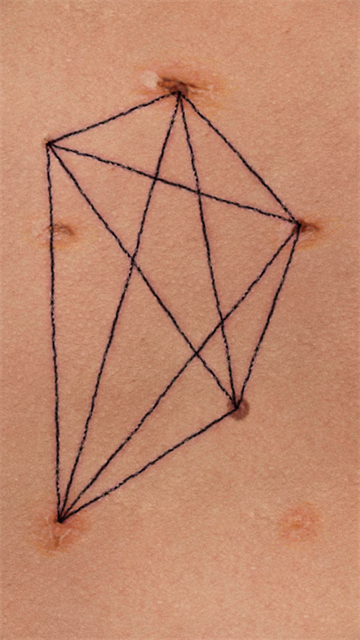 盛开之歌游戏