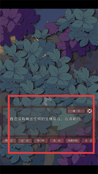 盲目之恋