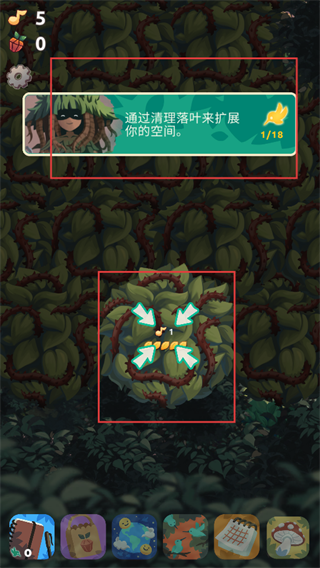 鸟类世界