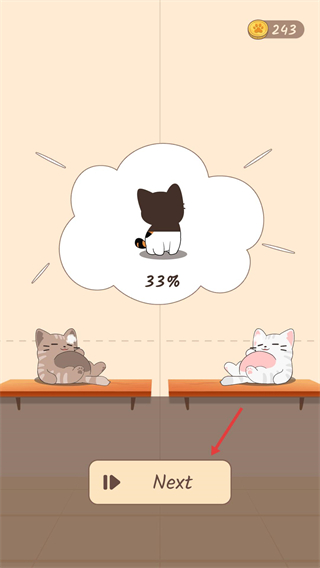 猫咪二重奏