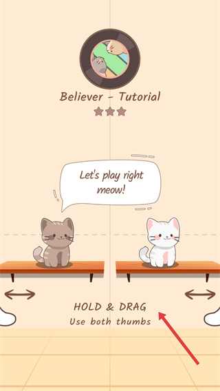 猫咪二重奏正版