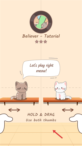 猫咪二重奏正版