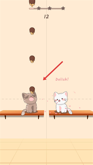 猫咪二重奏正版