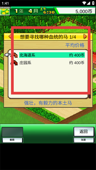 赛马牧场物语