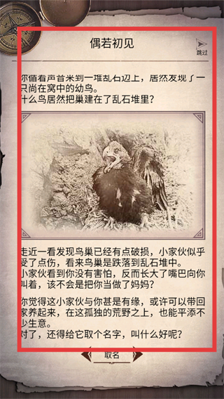 荒野日记孤岛