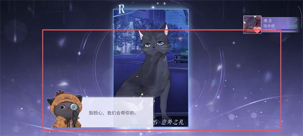 黑猫奇闻社