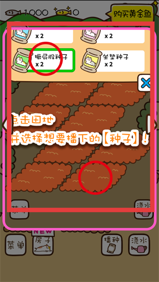 猫咪田园