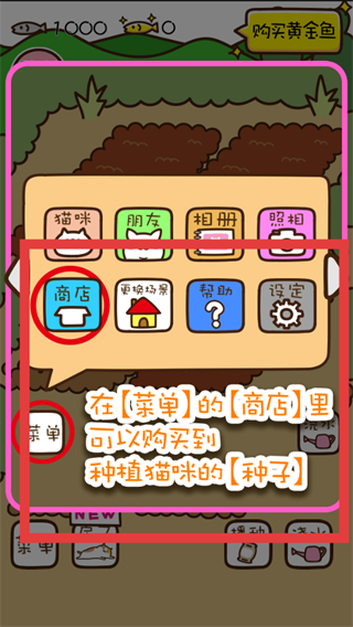 猫咪田园