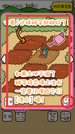 猫咪田园