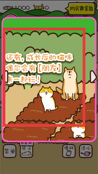 猫咪田园正版