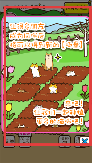 猫咪田园正版