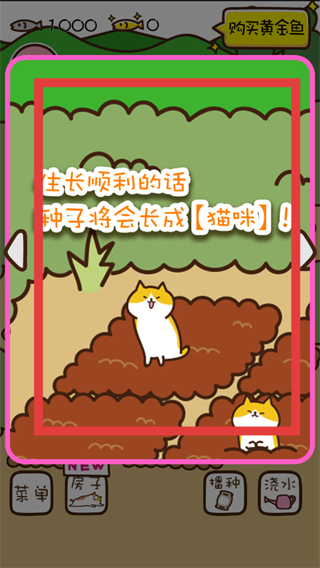 猫咪田园正版