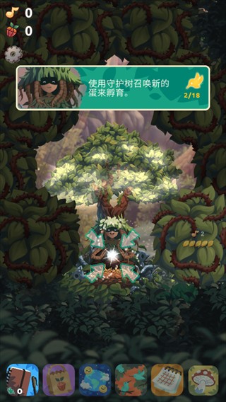 鸟类世界