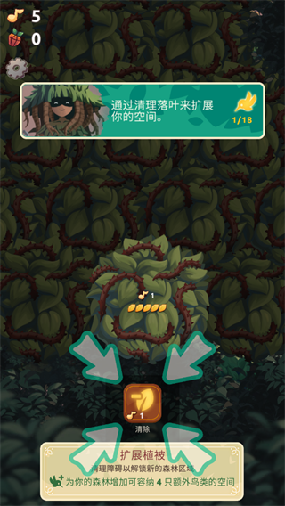 鸟类世界