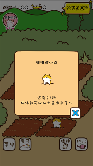 猫咪田园