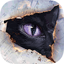 黑猫奇闻社正版